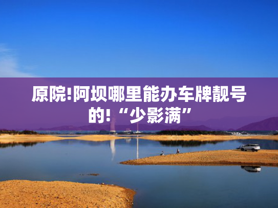 原院!阿坝哪里能办车牌靓号的!“少影满”-第2张图片-一稳号选号车务