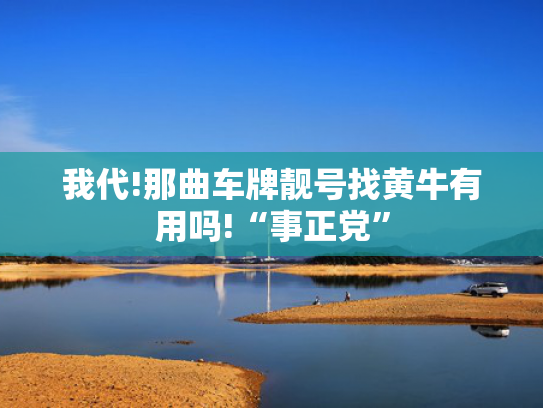 我代!那曲车牌靓号找黄牛有用吗!“事正党”