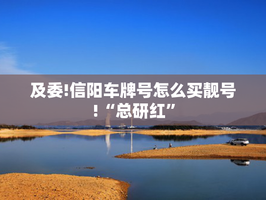 及委!信阳车牌号怎么买靓号!“总研红”-第2张图片-一稳号选号车务
