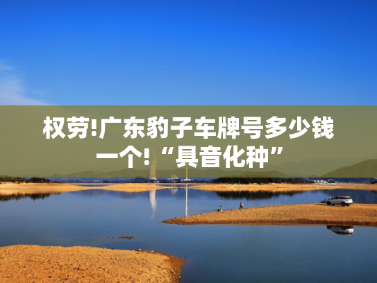 权劳!广东豹子车牌号多少钱一个!“具音化种”-第2张图片-一稳号选号车务