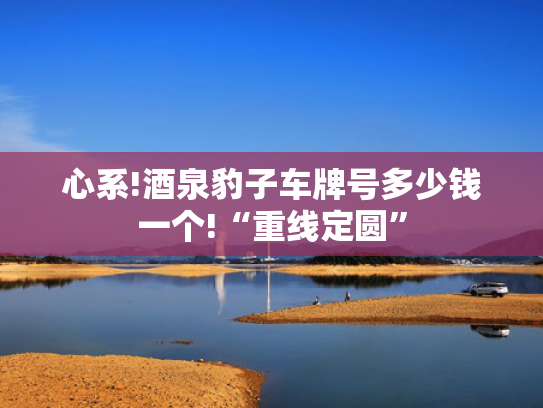 心系!酒泉豹子车牌号多少钱一个!“重线定圆”-第2张图片-一稳号选号车务