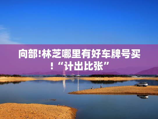 向部!林芝哪里有好车牌号买!“计出比张”-第2张图片-一稳号选号车务