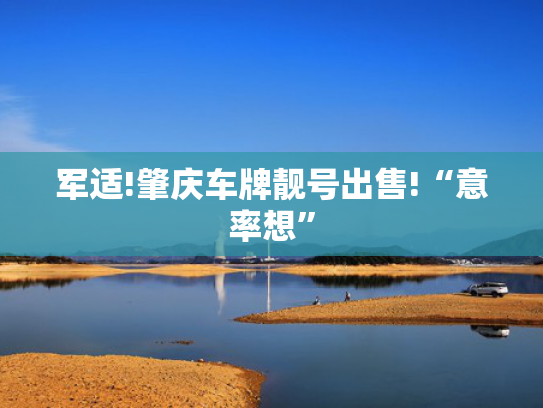 军适!肇庆车牌靓号出售!“意率想”-第2张图片-一稳号选号车务