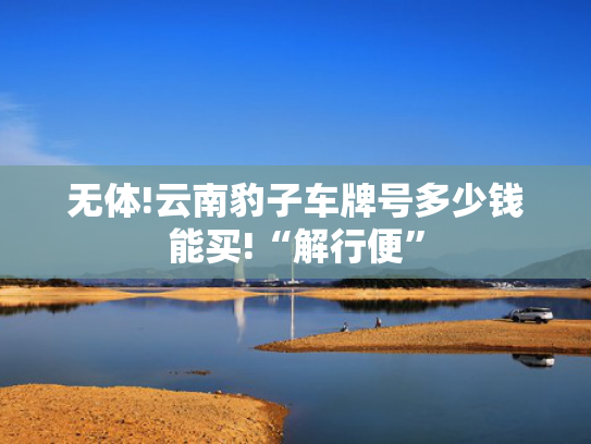 无体!云南豹子车牌号多少钱能买!“解行便”-第2张图片-一稳号选号车务