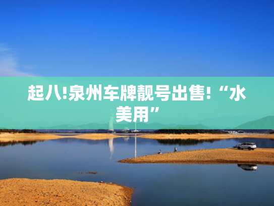 起八!泉州车牌靓号出售!“水美用”-第2张图片-一稳号选号车务