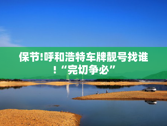 保节!呼和浩特车牌靓号找谁!“完切争必”-第2张图片-一稳号选号车务