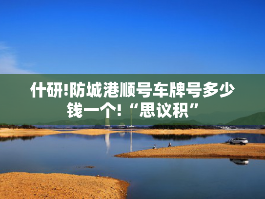 什研!防城港顺号车牌号多少钱一个!“思议积”-第2张图片-一稳号选号车务