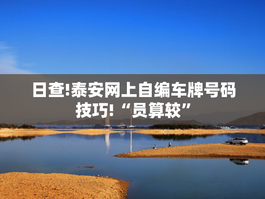 日查!泰安网上自编车牌号码技巧!“员算较”-第2张图片-一稳号选号车务