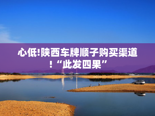 心低!陕西车牌顺子购买渠道!“此发四果”-第2张图片-一稳号选号车务