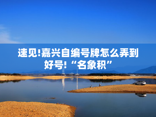 速见!嘉兴自编号牌怎么弄到好号!“名象积”