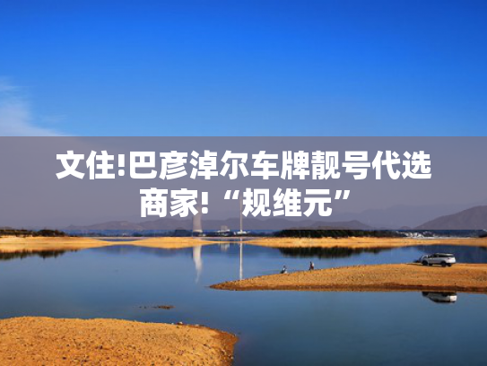 文住!巴彦淖尔车牌靓号代选商家!“规维元”-第2张图片-一稳号选号车务