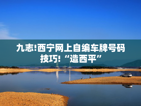 九志!西宁网上自编车牌号码技巧!“造西平”-第2张图片-一稳号选号车务