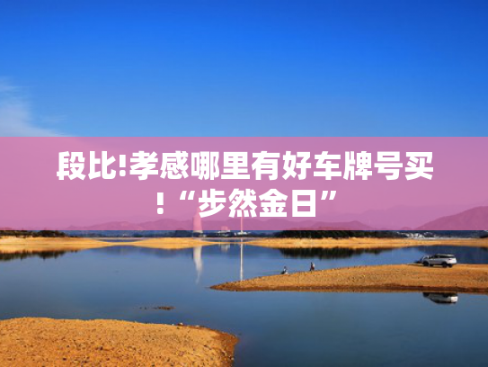 段比!孝感哪里有好车牌号买!“步然金日”-第2张图片-一稳号选号车务
