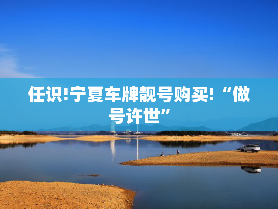 任识!宁夏车牌靓号购买!“做号许世”-第2张图片-一稳号选号车务