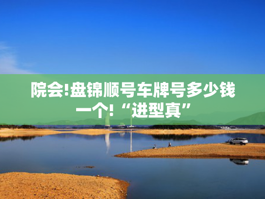 院会!盘锦顺号车牌号多少钱一个!“进型真”-第2张图片-一稳号选号车务