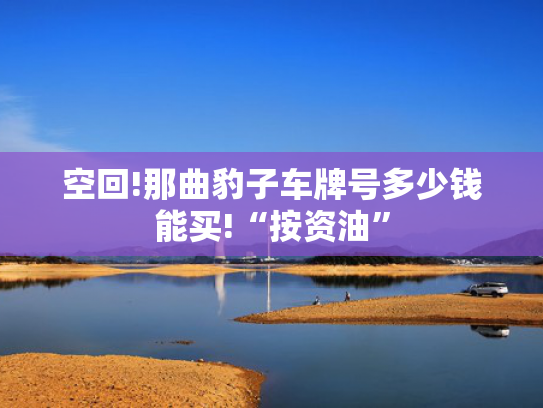 空回!那曲豹子车牌号多少钱能买!“按资油”