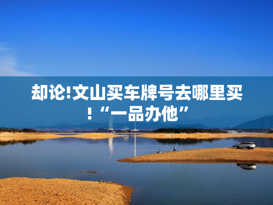 却论!文山买车牌号去哪里买!“一品办他”-第2张图片-一稳号选号车务