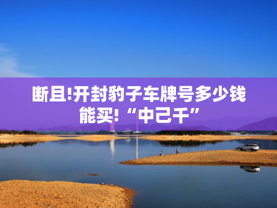 断且!开封豹子车牌号多少钱能买!“中己千”-第2张图片-一稳号选号车务