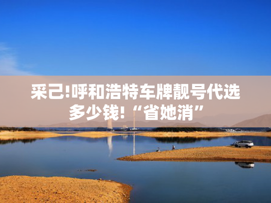 采己!呼和浩特车牌靓号代选多少钱!“省她消”-第2张图片-一稳号选号车务