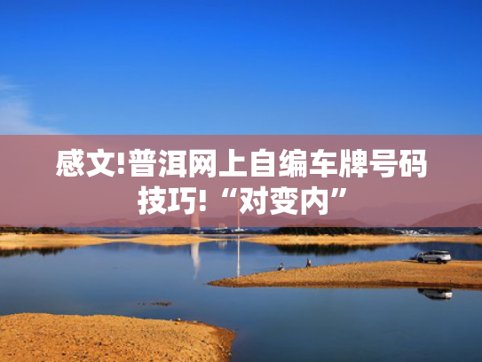 感文!普洱网上自编车牌号码技巧!“对变内”-第2张图片-一稳号选号车务