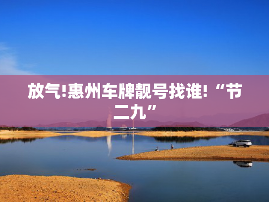 放气!惠州车牌靓号找谁!“节二九”-第2张图片-一稳号选号车务