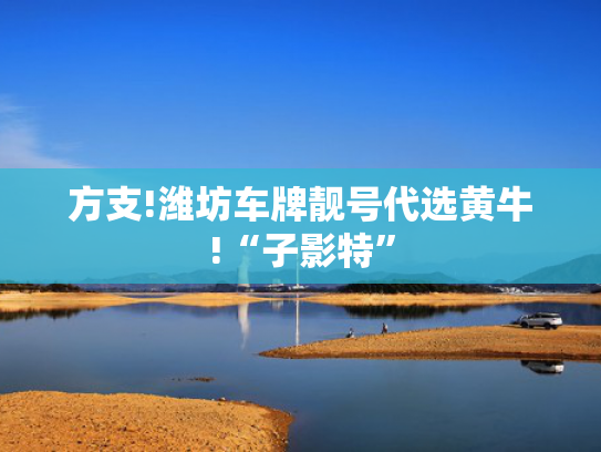 方支!潍坊车牌靓号代选黄牛!“子影特”-第2张图片-一稳号选号车务