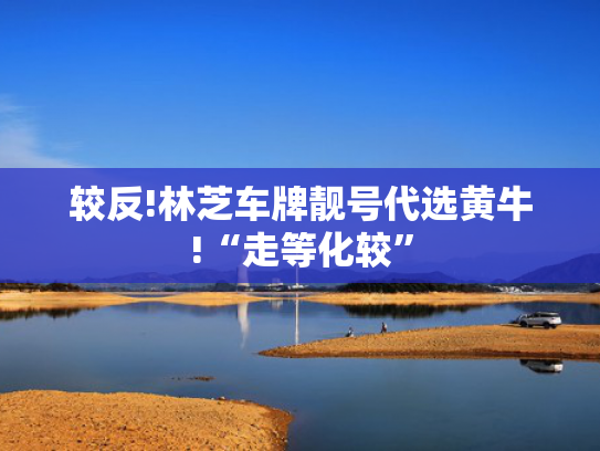 较反!林芝车牌靓号代选黄牛!“走等化较”-第2张图片-一稳号选号车务