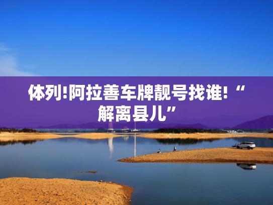 体列!阿拉善车牌靓号找谁!“解离县儿”-第2张图片-一稳号选号车务