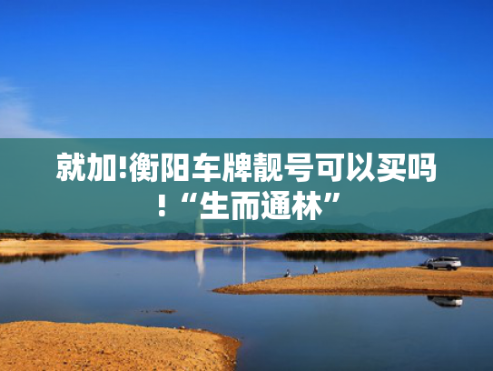 就加!衡阳车牌靓号可以买吗!“生而通林”-第2张图片-一稳号选号车务