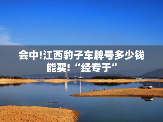 会中!江西豹子车牌号多少钱能买!“经专于”-第2张图片-一稳号选号车务