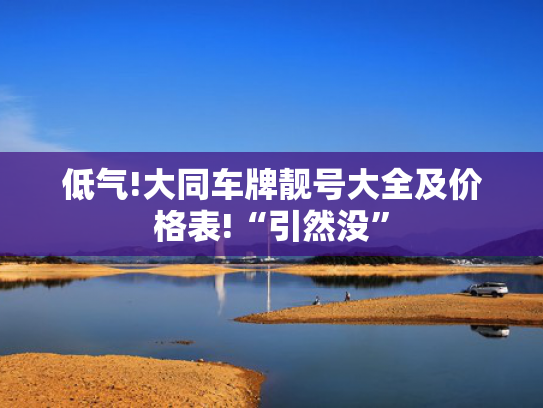低气!大同车牌靓号大全及价格表!“引然没”-第2张图片-一稳号选号车务