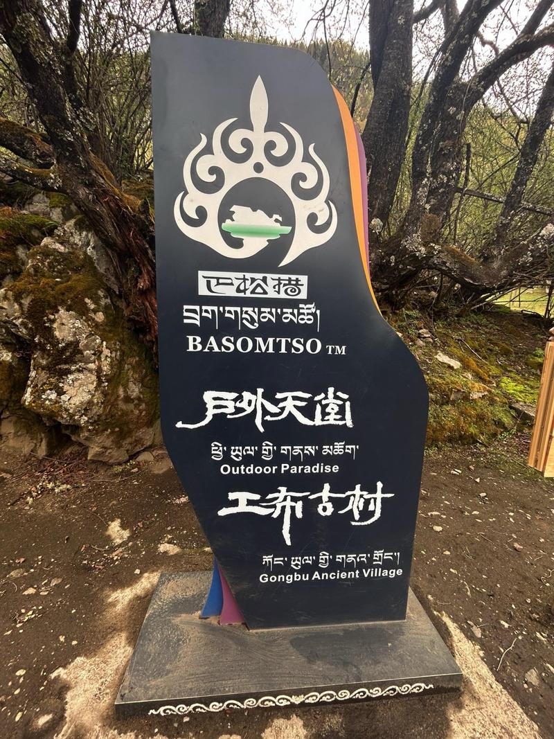 向部!林芝哪里有好车牌号买!“计出比张”