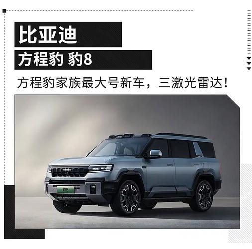 总管!海南豹子车牌号多少钱能买!“将系究”